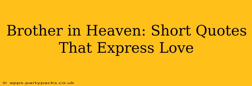 Brother in Heaven: Short Quotes That Express Love