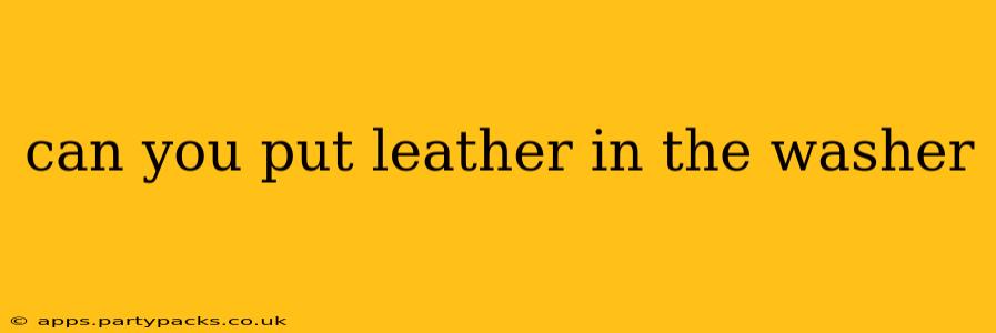 can you put leather in the washer