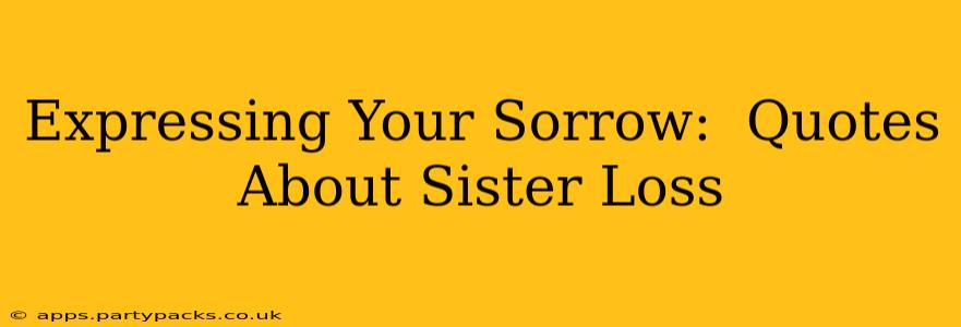 Expressing Your Sorrow:  Quotes About Sister Loss