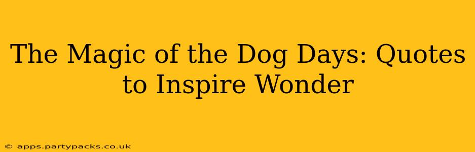 The Magic of the Dog Days: Quotes to Inspire Wonder